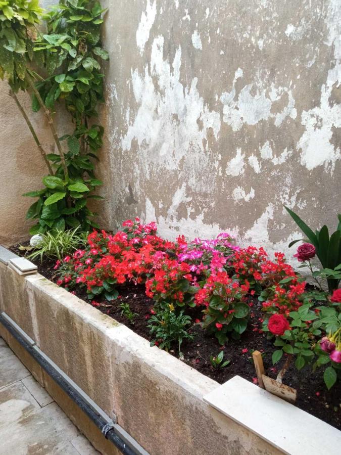 Rooms Zela 1 كورتْشولا المظهر الخارجي الصورة